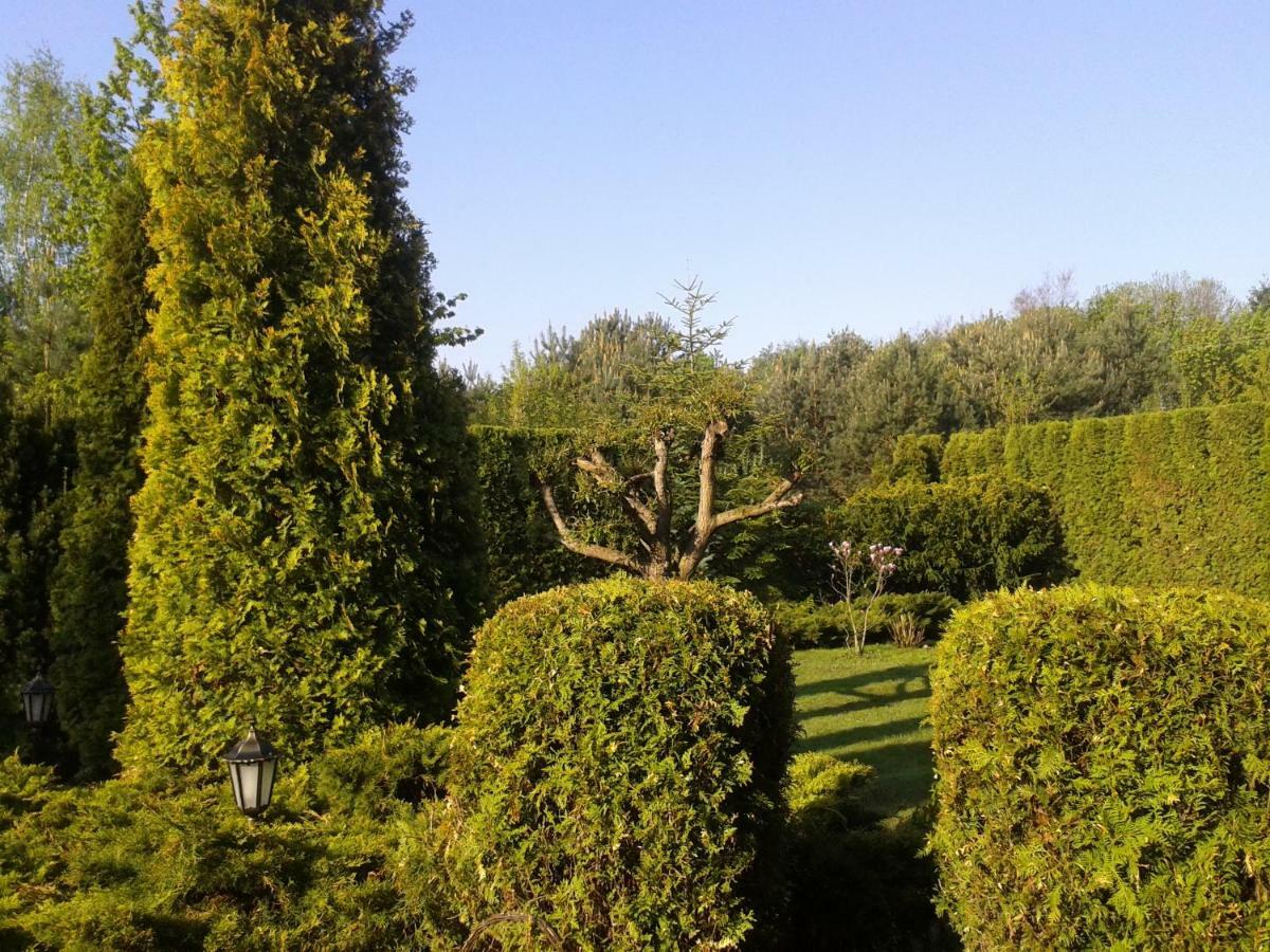 Dom Na Skarpie Villa Wierzbica  ภายนอก รูปภาพ